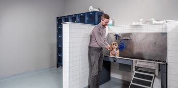 Muddy paws locker room and dog wash station